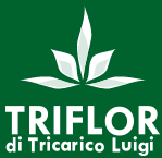 TRIFLOR di Tricarico Luigi - Floriculture products for cut flowers and flower pots propagated from cuttings, seeds and meristems